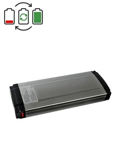 Regeneracja baterii Sachs Electra 3 36V