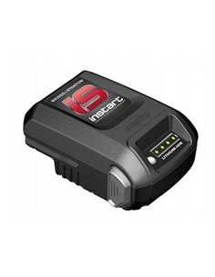 Regeneracja Briggs&Stratton 10,8V